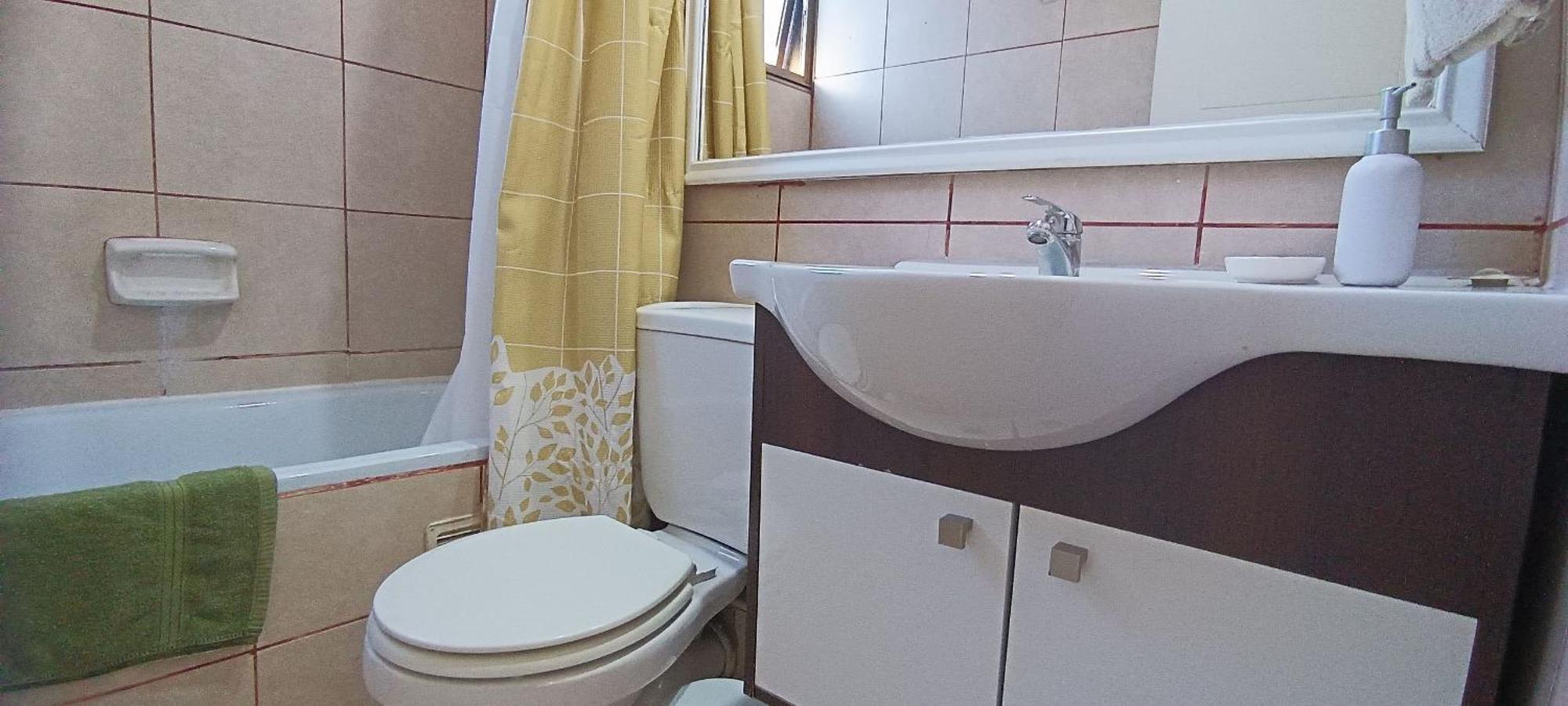 Appartamento Living Flores Santiago del Cile
